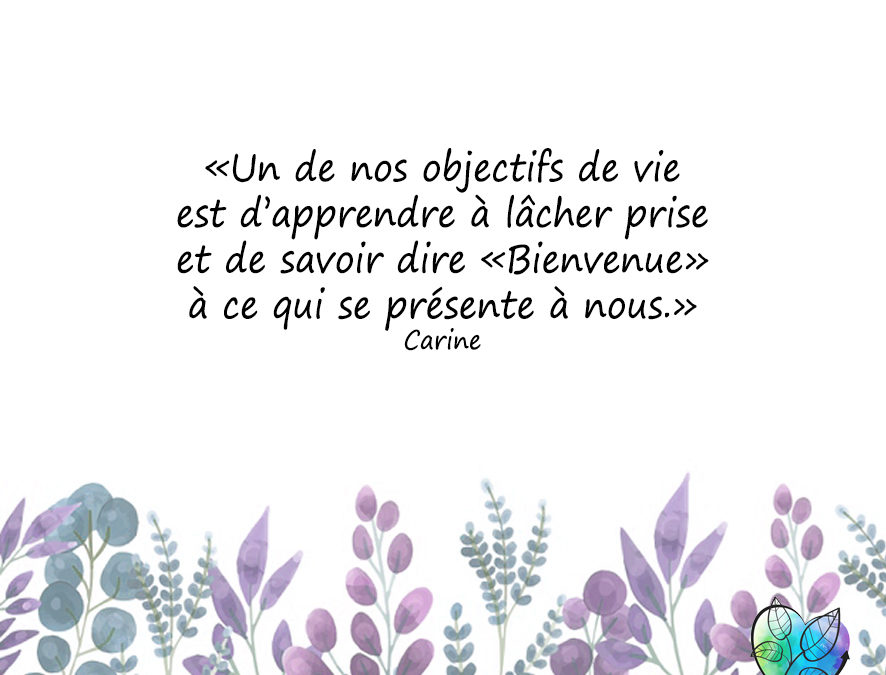 BIENVENUES MES JOLIES BLESSURES