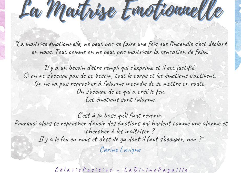LA MAITRISE EMOTIONNELLE DE SOI