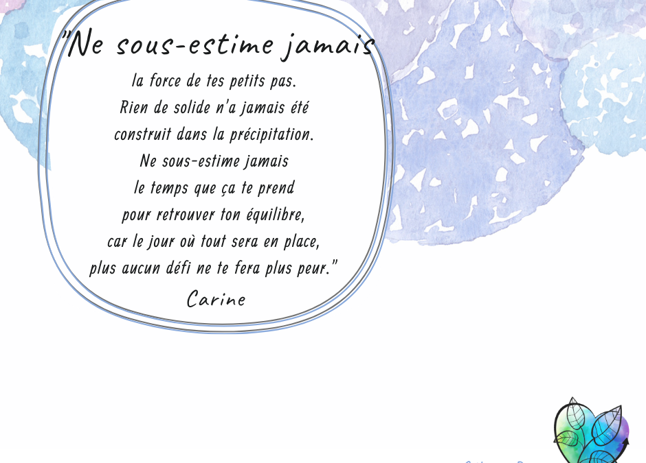 LA FORCE DES PETITS PAS