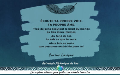 CREER SA REALITE : DEPASSER LE MYTHE DU PLAN DE VIE
