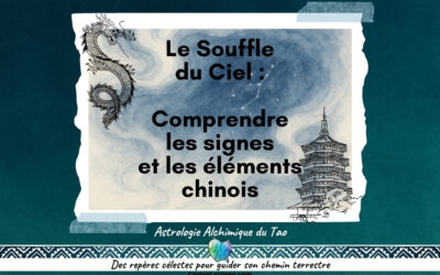 COMPRENDRE LES SIGNES ET LES ELEMENTS CHINOIS